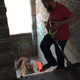 Image for article titled I Helped Catch Detroit’s Tiger With A Weed Whacker And A Tarp